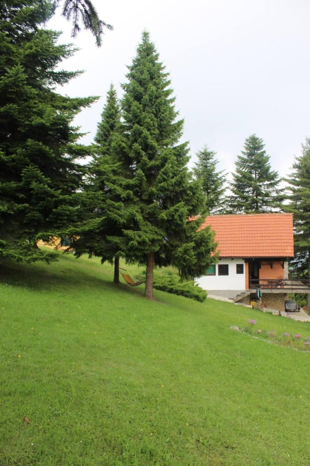 Apartmani Planinska Kuca, Jagodnja Krupanj Ngoại thất bức ảnh